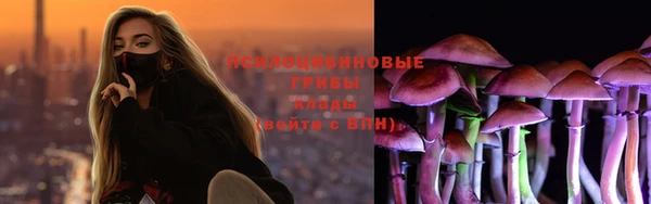 бошки Армянск