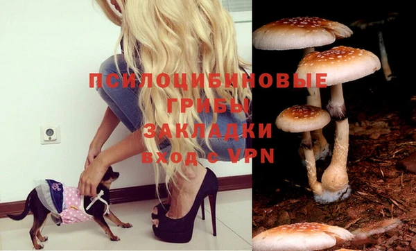 кокаин Аркадак